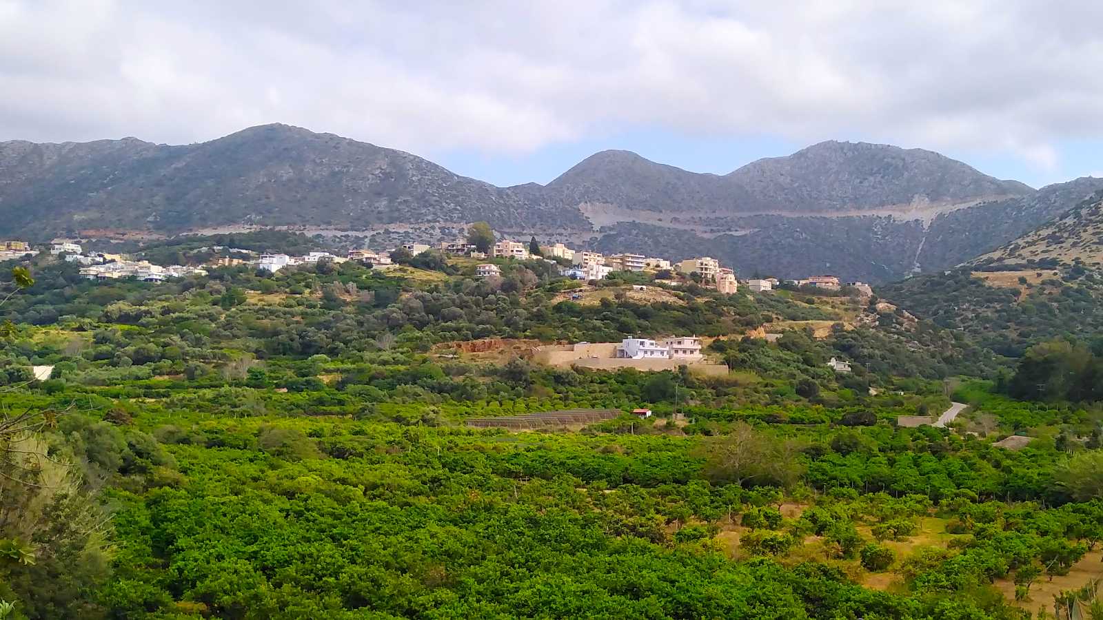 Panorama